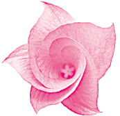 Praxis für Osteopathie